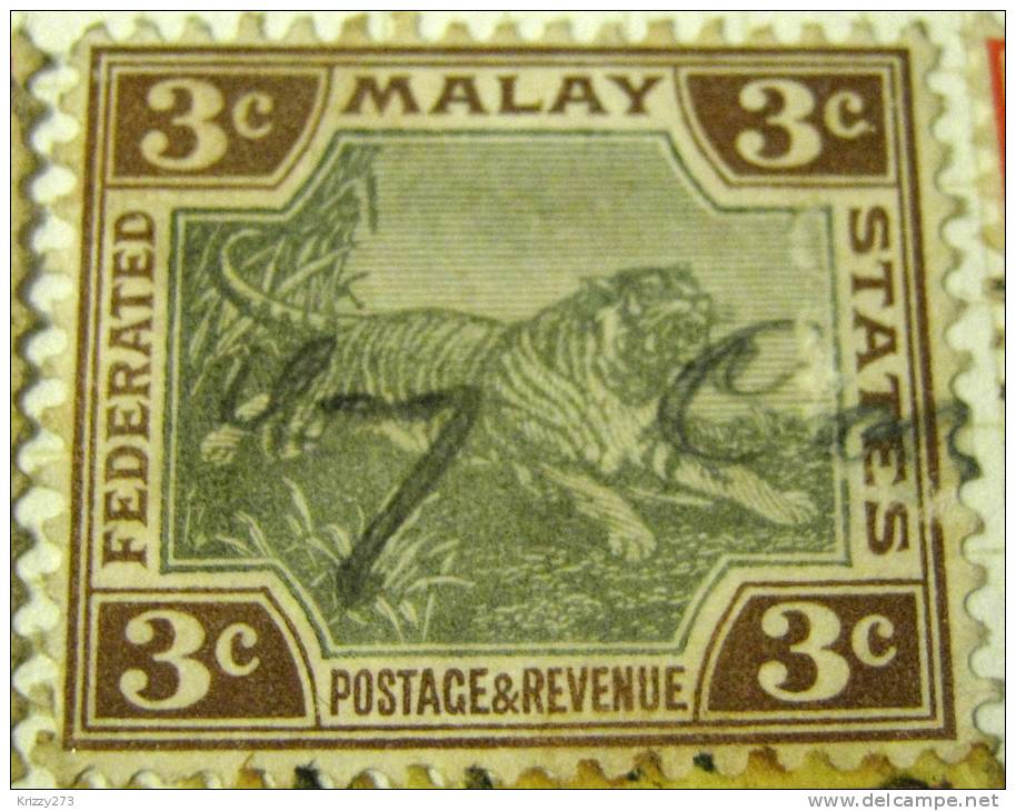 Malay 1900 Tiger 3c - Used - Federated Malay States