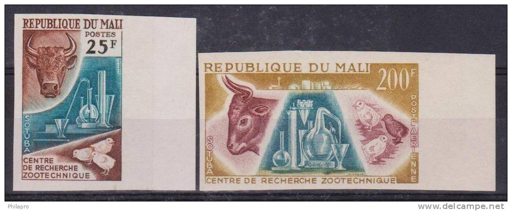 MALI  NON DENT/IMP  ANIMAUX  VACHES  Yvert  N°44+PA15**MNH  Réf 1946 - Vaches