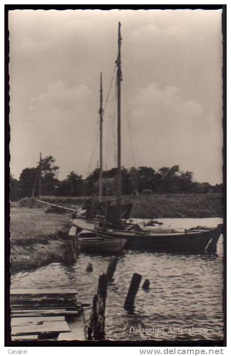 AK Ahrenshoop, Ung, 1957 - Rügen