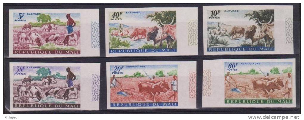 MALI  NON DENT/IMP  ANIMAUX  VACHES  Yvert  N°?**MNH  Réf 1950 - Vaches