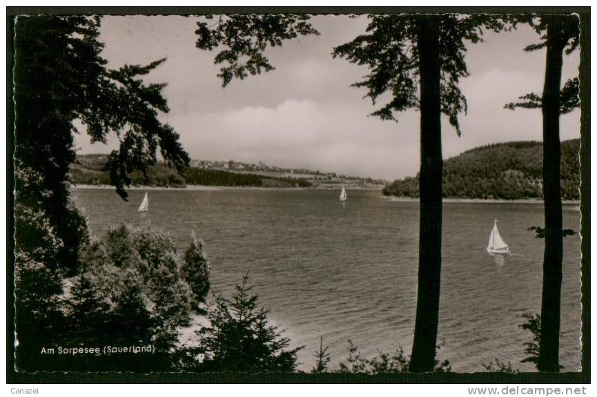 AK Am Sorpesee, Sauerland, Gel 1956 (Langscheid, Amecke) - Arnsberg