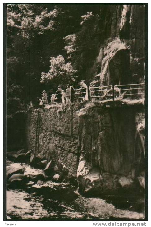 AK Im Bodetal, Gel, 1958 (Thale) - Thale