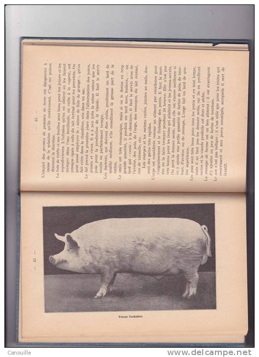 L'élevage Du Porc - Cochon - E. Gavillet 1924 Payot Lausanne - Animaux