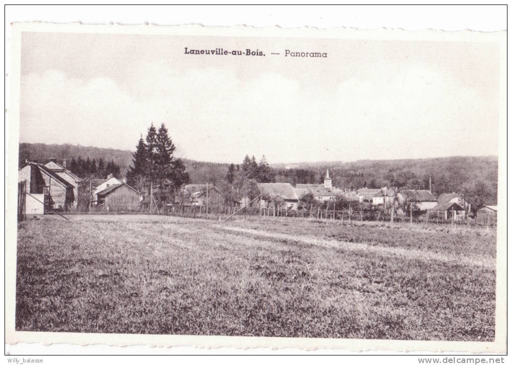 LANEUVILLE-AU-BOIS   Panorama - Tenneville
