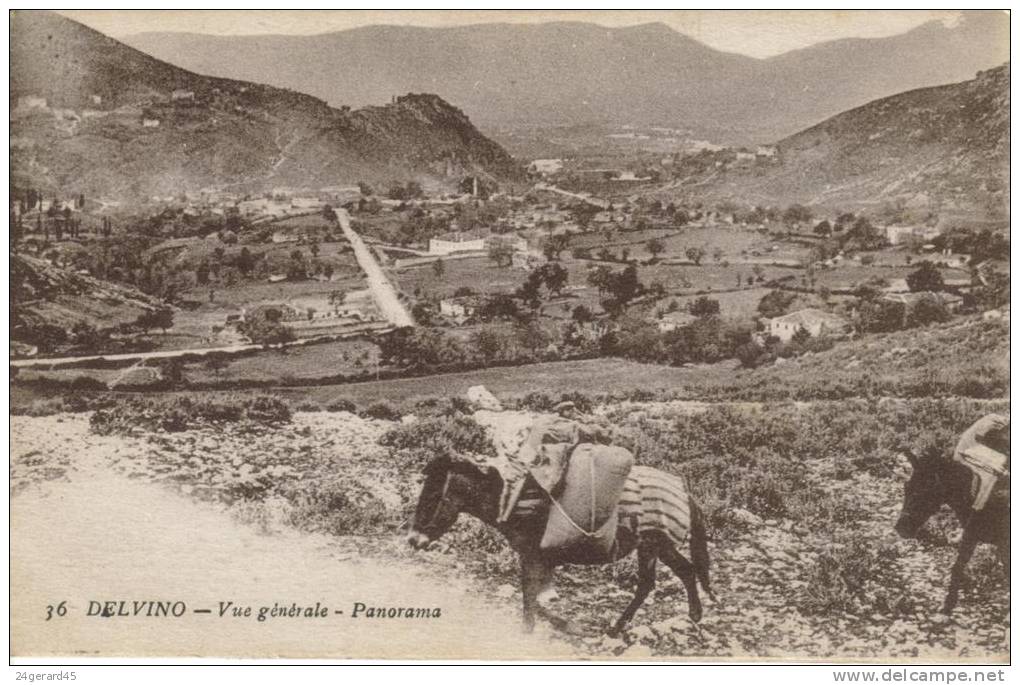 CPA DELVINO (Albanie) - MILITAIRE CAMPAGNE D'ORIENT GUERRE 1914/18 - Vue Générale Panorama - Albanie