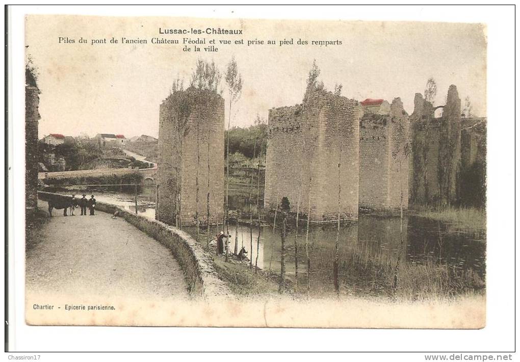 86 -  LUSSAC-les-CHATEAUX  -  Piles Du Pont De L´ancien Château Féodal... Laveuse, Baudet Du Poitou Avec Ses Longs Poils - Lussac Les Chateaux