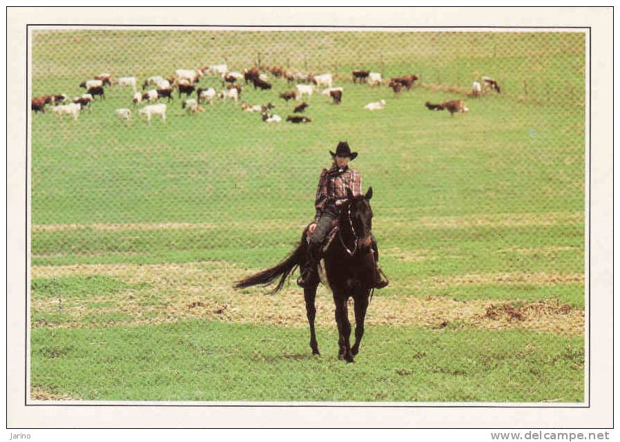 Etats-Unis,USA, Kansas, Cow-boy Au Féminin - Cow-girl,Editeur:Edito-Service S.A.,Imprimé En C.E.,reedition - Andere & Zonder Classificatie