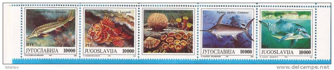 1993X -2589-92  JUGOSLAVIJA  PESCI  FISHS    STRIP  MNH - Neufs