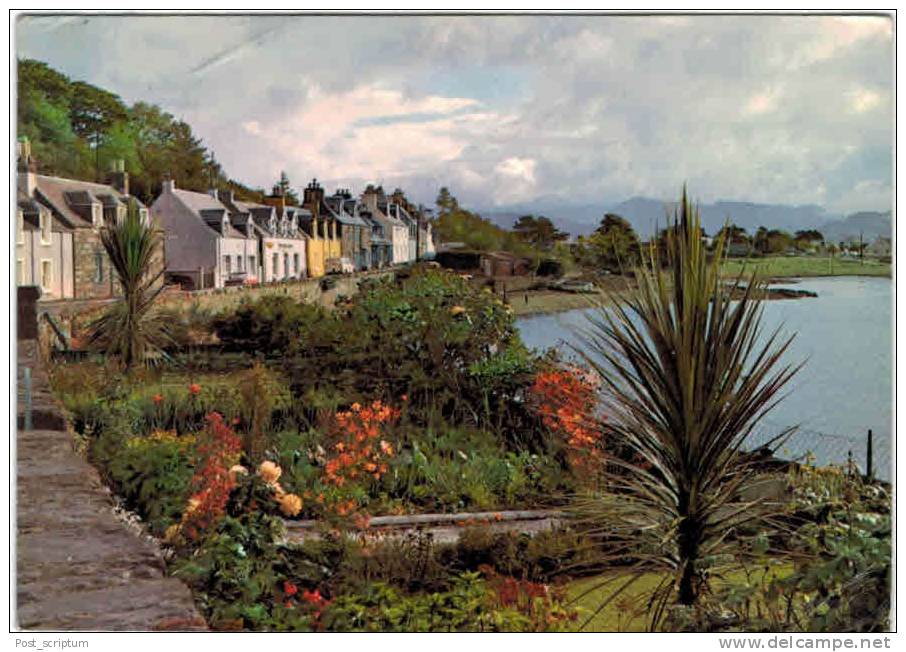 Royaume-Uni - Ecosse - Plockton - Ross Shire - Ross & Cromarty