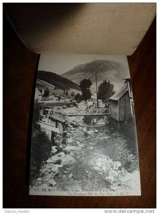 Carnet De 17 Cartes Postales Anciennes  Le Mont-Dore , Dont Beaucoup Sont Animées....années 1900 ..éditeur Lévy Fils - Le Mont Dore