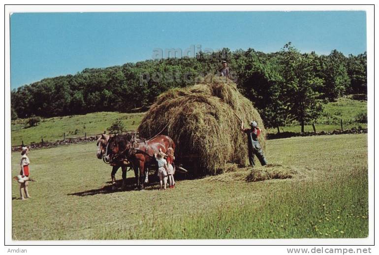 USA - HAYING TIME  - FARMING SCENE - C1960s Vintage Unused Chrome Postcard - HAY HORSE CART  [s3500] - Autres & Non Classés