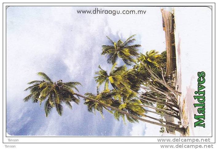 Maldives, MLD-46, Palmtrees, 2 Scans - Maldive