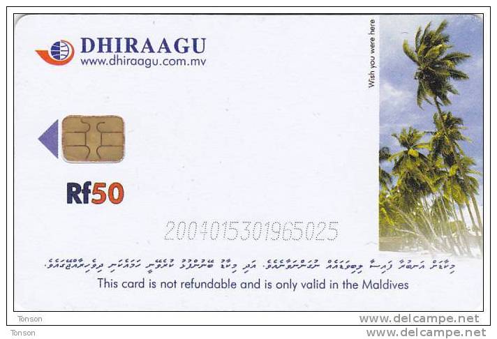 Maldives, MLD-46, Palmtrees, 2 Scans - Maldivas