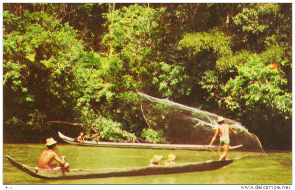 Dayaks Fishing Sarawak River - Malasia