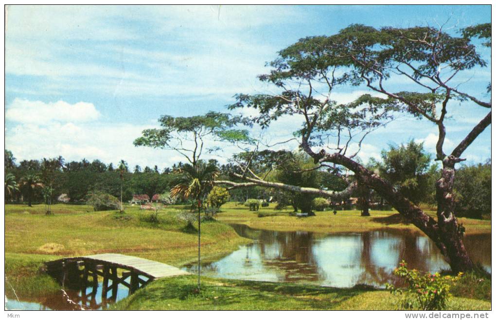 Taiping LAke Perak - Malesia