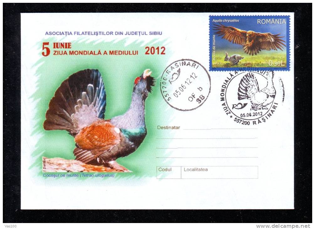 COCK, 2012, SPECIAL COVER, OBLITERATION CONCORDANTE, ROMANIA - Cuckoos & Turacos