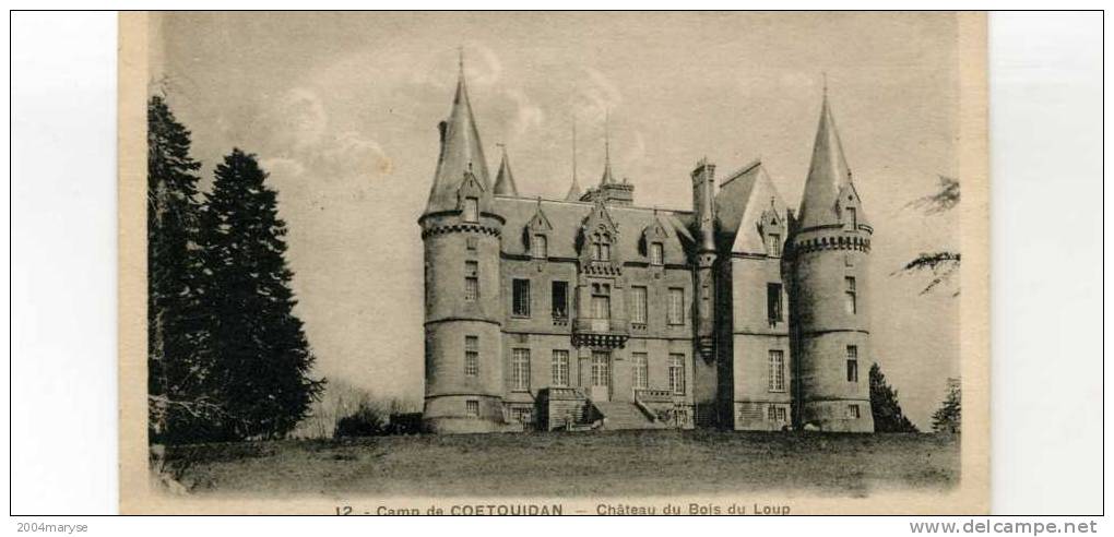 56 - COETQUIDAN - CHATEAU DU BOIS DU LOUP - Pont Scorff