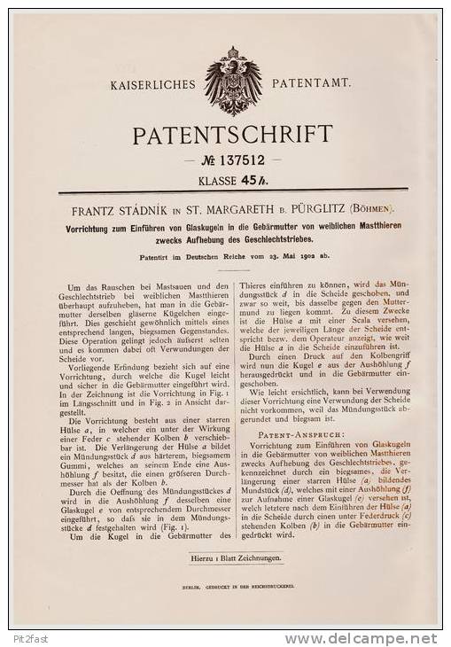 Original Patentschrift - F. Stádnik In St. Margareth B. Pürglitz , 1902, Glaskugel - Einführer Für Gebärmutter B. Tieren - Documentos Históricos