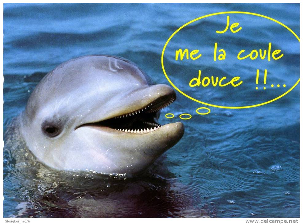 CARTE NEUVE ...DAUPHIN.....VOIR SCANER - Dauphins