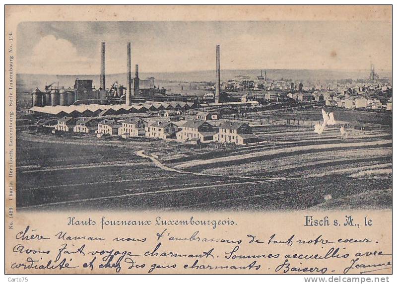 Luxembourg - Eisch - Usine Sidérurgie - Marque Postale 1899 - Esch-Alzette