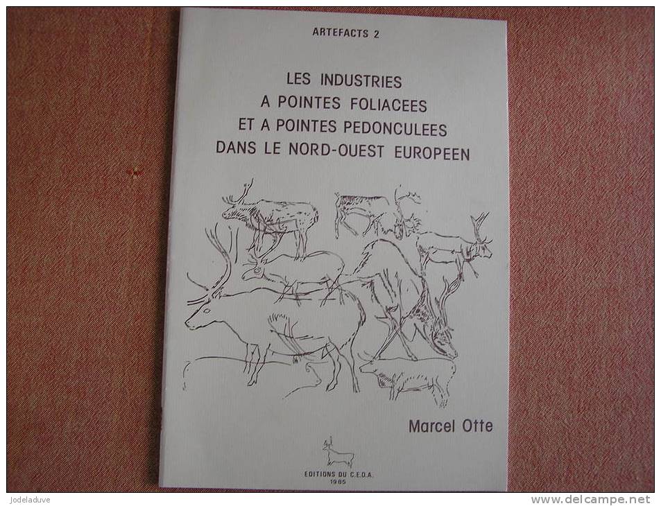 ARTEFACTS 2 LES INDUSTRIES A POINTES FOLIACEES PEDONCULEES NORD OUEST EUROPEEN CEDARC à Treignes Histoire Archéologie - Archeology