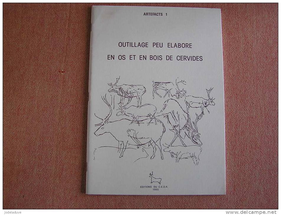 ARTEFACTS 1 OUTILLAGE PEU ELABORE EN OS ET EN BOIS DE CERVIDES CEDARC à Treignes Histoire Archéologie - Arqueología