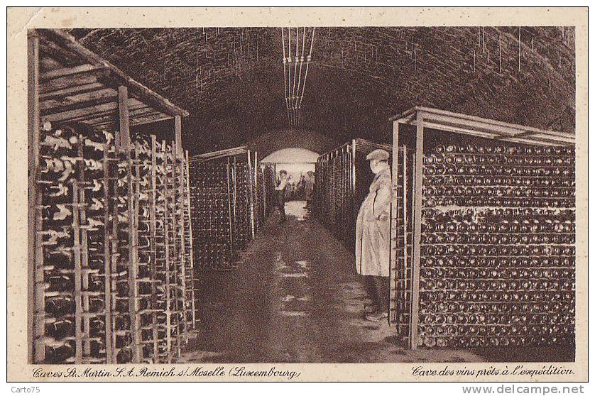 Luxembourg - Remich Sur Moselle - Cave - Viticulture - Remich