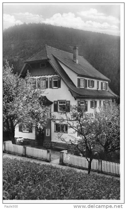 Baiersbronn-Klosterreichenbach - Pension Sonnenberg - Baiersbronn