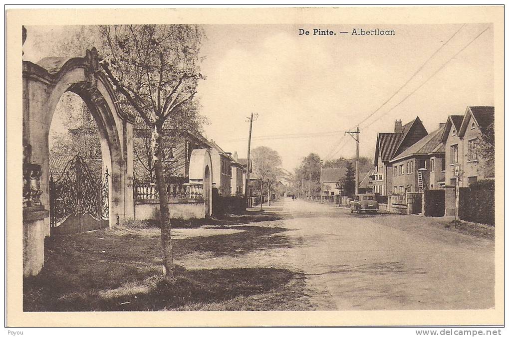 De Pinte Albertlaan Griffe De Pinte - De Pinte