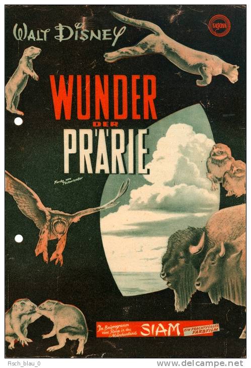 IFK 2387 Wunder Der Prärie 1955 Walt Disney The Vanishing Prairie Büffel USA - Magazines