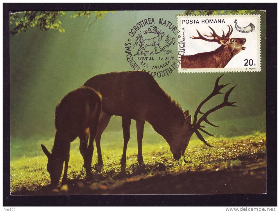 DEER,CM,MAXI CARD,CARD MAXIMUM,1978,ROMANIA - Game