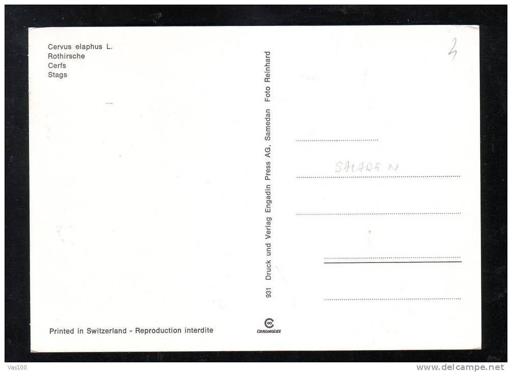 DEER,CM,MAXI CARD,CARD MAXIMUM,1978,ROMANIA - Game