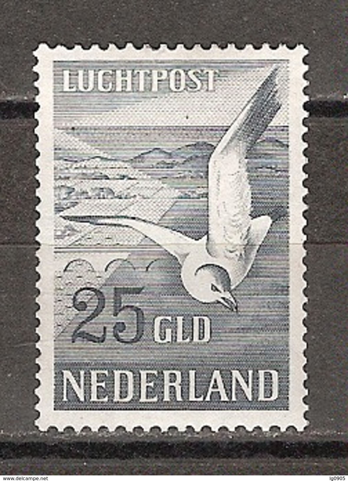 NVPH Nederland Netherlands Pays Bas Niederlande Holanda  Luchtpost 13 MLH ; Meeuw Gull Mouette Gaviota Mowe  VERY RARE - Poste Aérienne