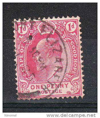 Capo Di Buona Speranza   Cape Of Good Hope  -   1903/04.  Edoardo VII  1 Penny  Red. Timbro Di Lusso - Cape Of Good Hope (1853-1904)