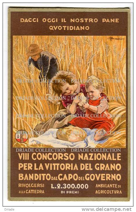 CARTOLINA  VIII CONCORSSO NAZIONALE PER LA VITTORIA DEL GRANO BANDITO DAL CAPO DEL GOVERNO PUBBLICITà ILLUSTRATORE BUSI - Busi, Adolfo