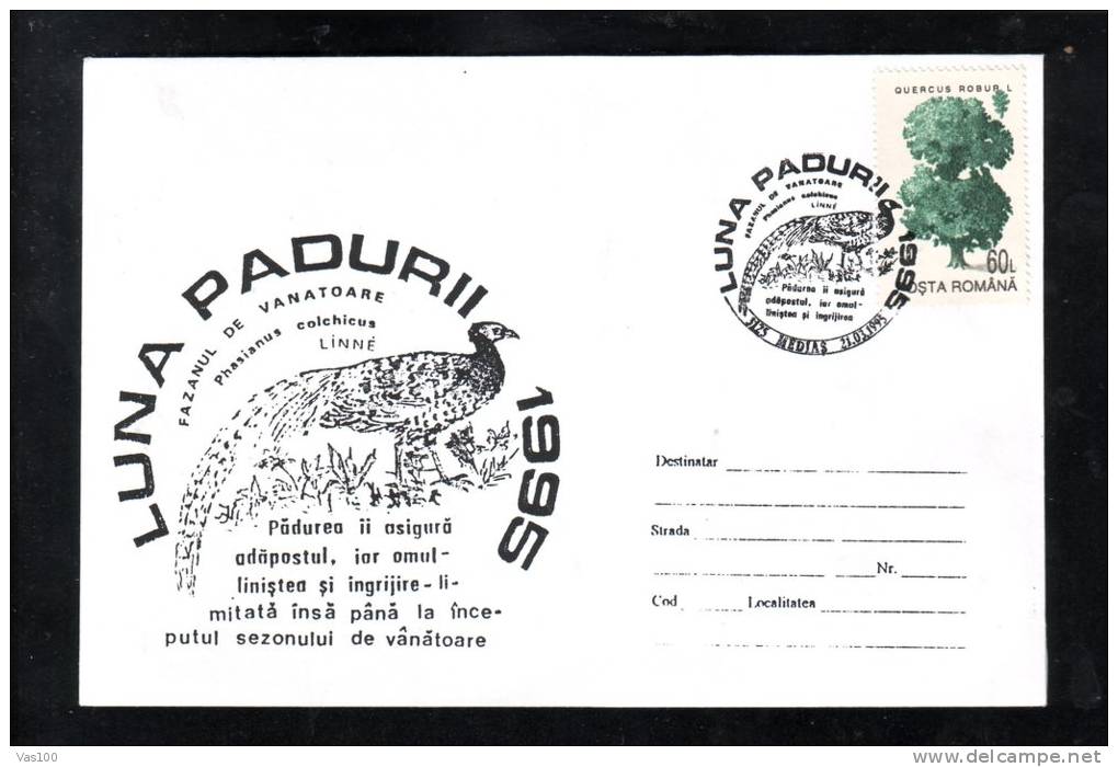 PHEASANT HUNTING,CHASSE AUX FAISANS,1995,SPECIAL COVER,ROMANIA - Gallinacées & Faisans