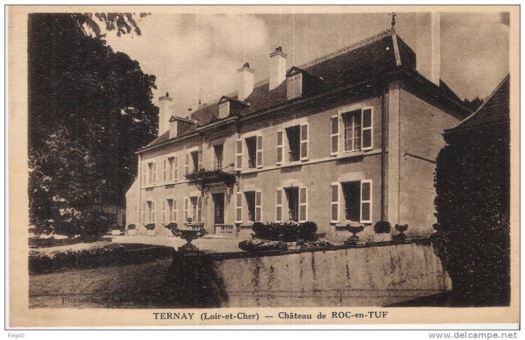 D41 - TERNAY   - Chateau De ROC EN TUF - Autres & Non Classés