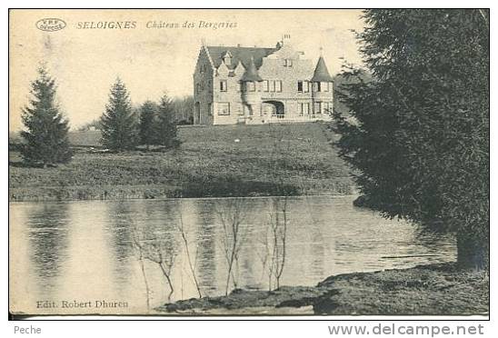 N°23968 -cpa Seloignes -château Des Bergeries- - Autres & Non Classés