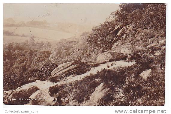 Uk England  Harrogate Birk Crag Real Photo Vintage Original Postcard Ca1900 Ak Cpa [WIN3_307] - Harrogate