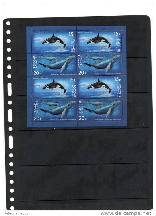 RUSSIA,2012,WHALES,ORCA, KILLER WHALES, SHEETLET OF 2 SETS, MNH - Walvissen