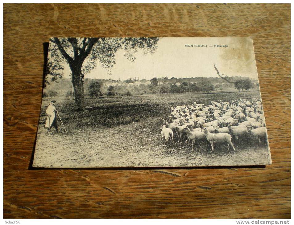 CPA De Montsoult (Val D´Oise) - Pâturage - Troupeau Et Son Berger, Carte Animée - Montsoult