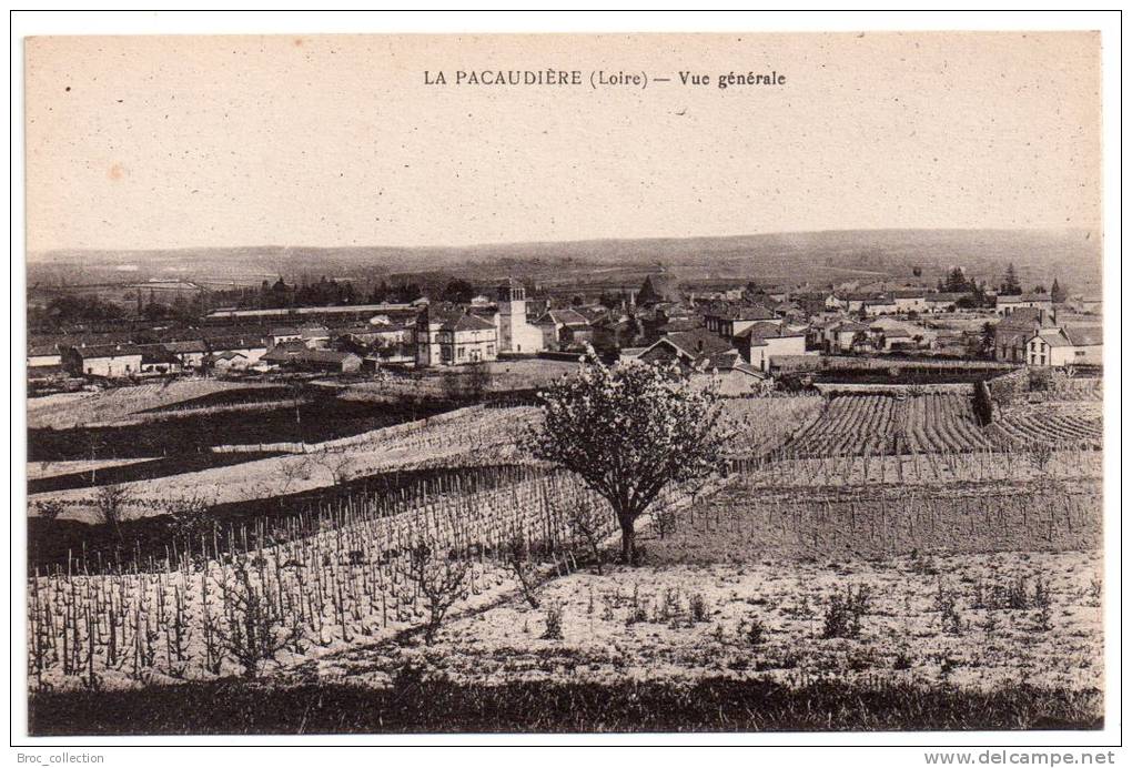 La Pacaudière, Vue Générale, éd. Combier - La Pacaudiere