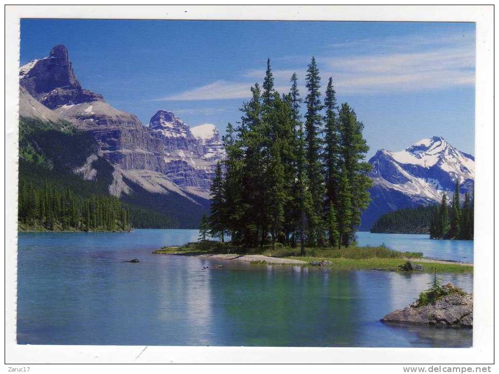 Carte Postale CANADIAN ROCKIES SPIRIT ISLAND IN MALIGNE LAKE IN JASPER NATIONAL PARK CANADA LAC FORET ROCHEUSES - Jasper