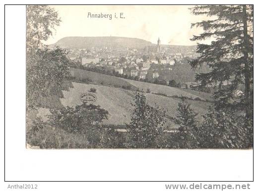 Litho Annaberg I.E. Erzgebirge Gesamtansicht Kirche Sw Um 1920 - Annaberg-Buchholz