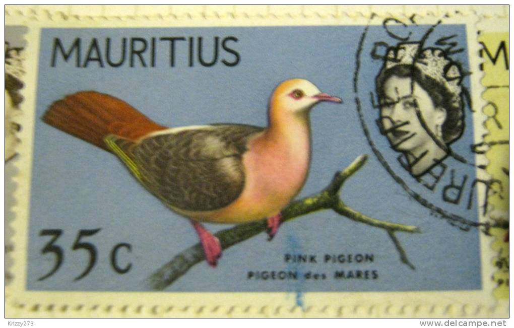 Mauritius 1965 Bird Pink Pigeon 35c - Used - Mauritius (...-1967)