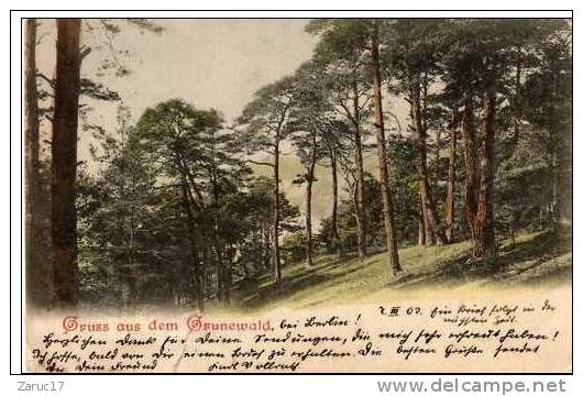 Carte Postale GRUSS AUS DEM GRUNEWALD Ecrite En 1902 ALLEMAGNE FORET ARBRE - Grunewald