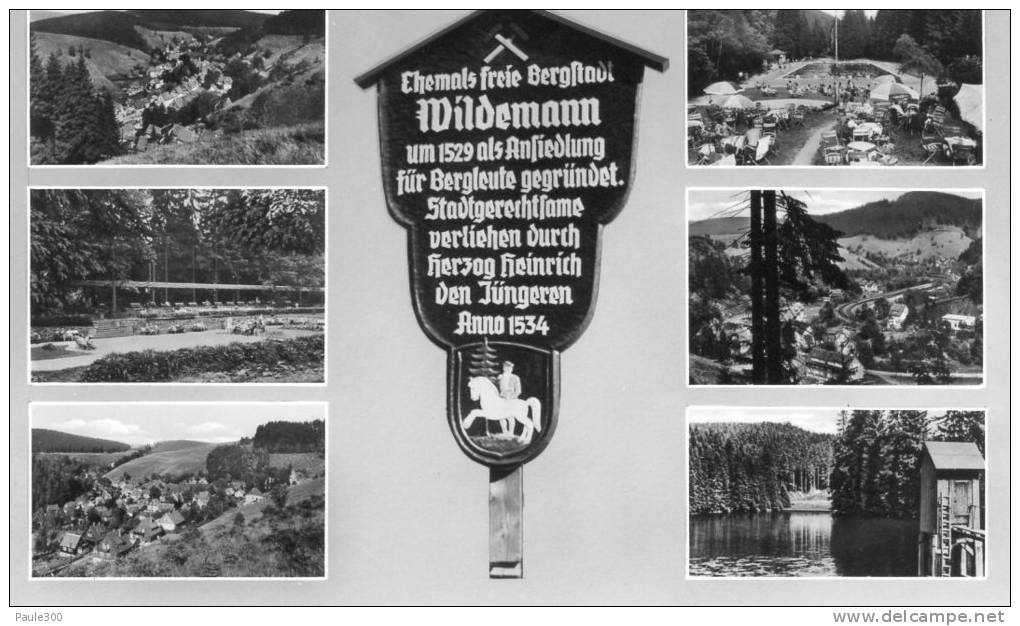 Wildemann - Mehrbildkarte  L1 - Wildemann