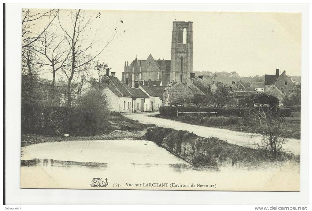 LARCHANT (SEINE ET MARNE - 77) - VUE GENERALE - Larchant