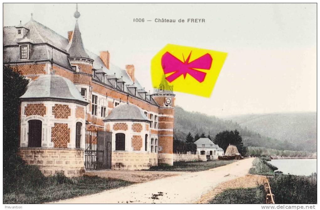 HASTIERE - Château De Freyr - Superbe Carte Colorée - Onhaye