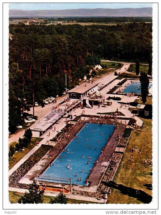 Haguenau - La Piscine(en Avion Au Dessus De...) - Haguenau